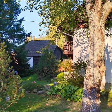 Chaloupka U Jiriho 3* Nová Pec