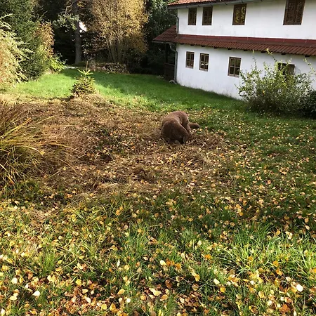 Chaloupka U Jiriho Nová Pec