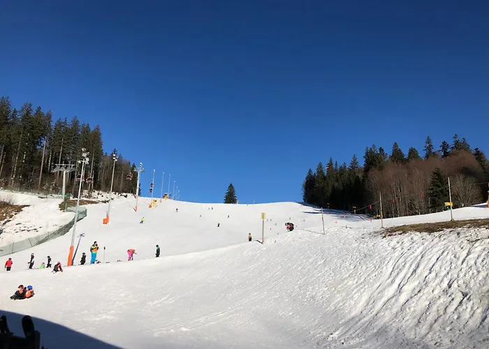 Pensión Chaloupka U Jiřího 3*