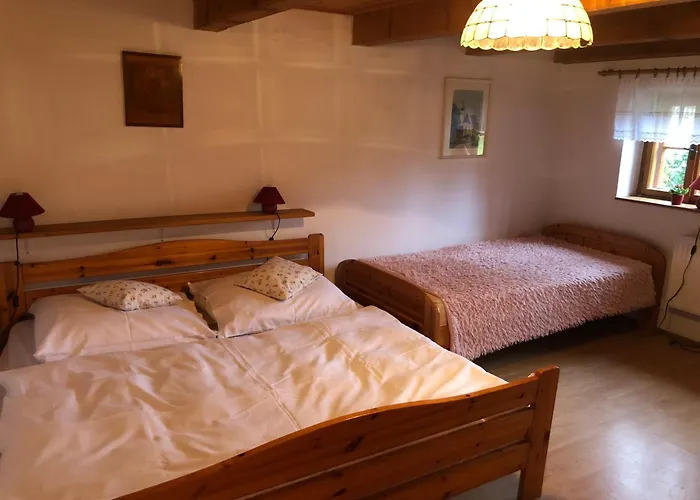 Chaloupka U Jiřího Pensión 3*