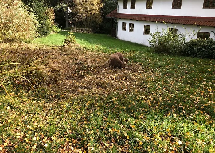 Chaloupka U Jiřího Nová Pec
